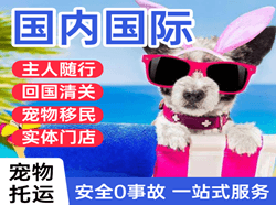 天府机场快运国际宠物托运 【国